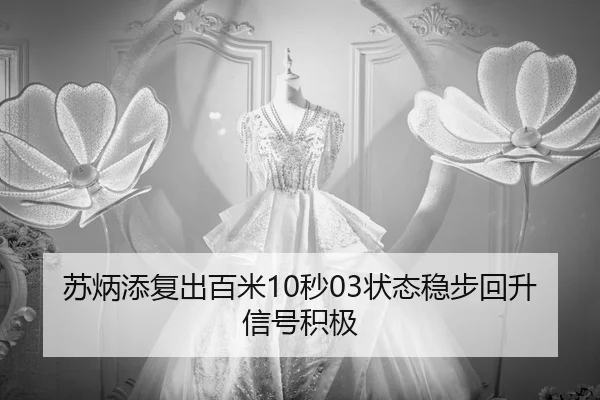 su-bing-tian-fu-chu-bai-mi-miao-zhuang-tai-wen-bu-hui-sheng-xin-hao-ji-ji-3-247.jpg